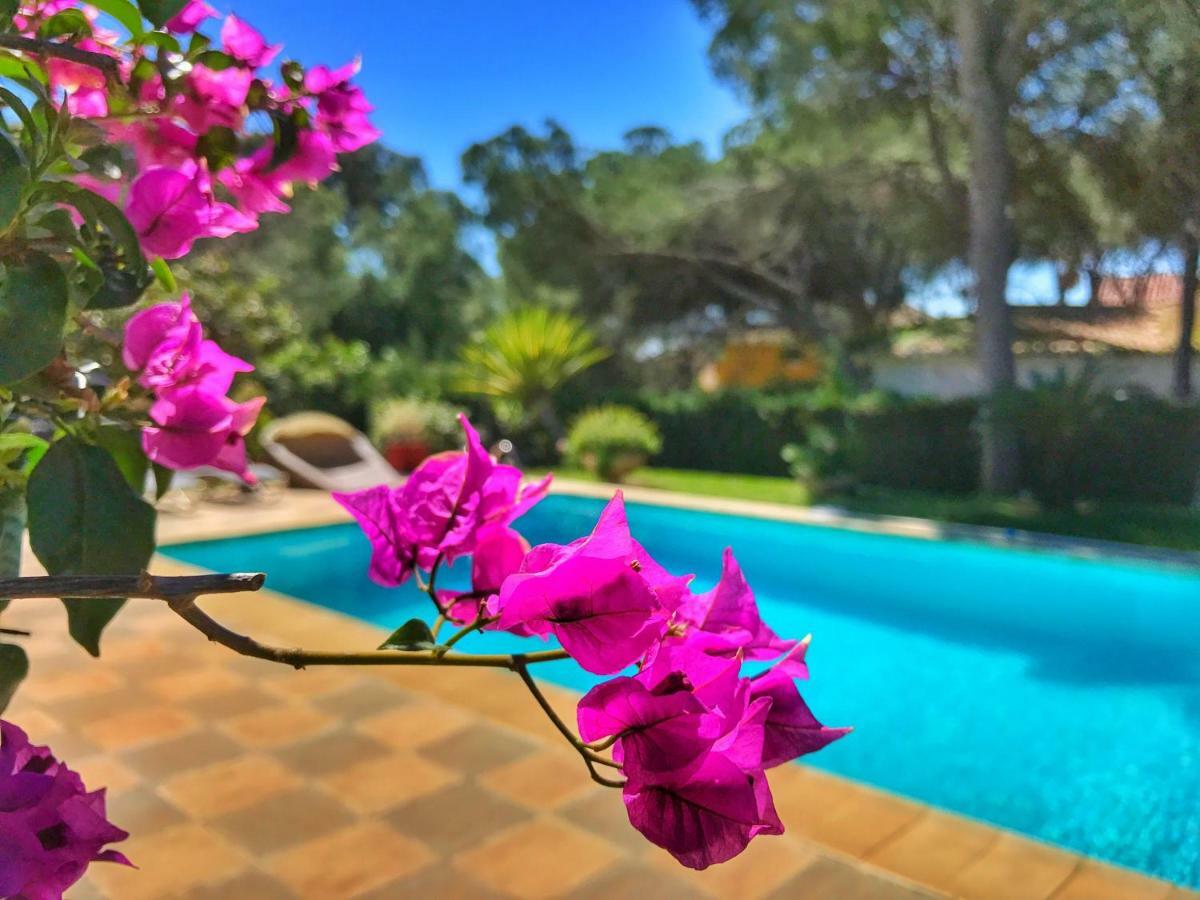 El Nacar Bed & Breakfast Μαρμπέλλα Εξωτερικό φωτογραφία