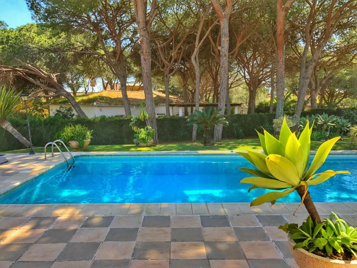 El Nacar Bed & Breakfast Μαρμπέλλα Εξωτερικό φωτογραφία