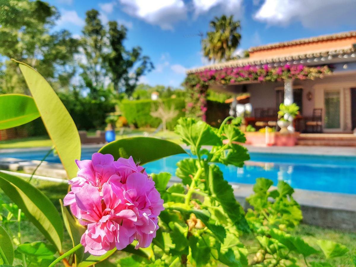 El Nacar Bed & Breakfast Μαρμπέλλα Εξωτερικό φωτογραφία