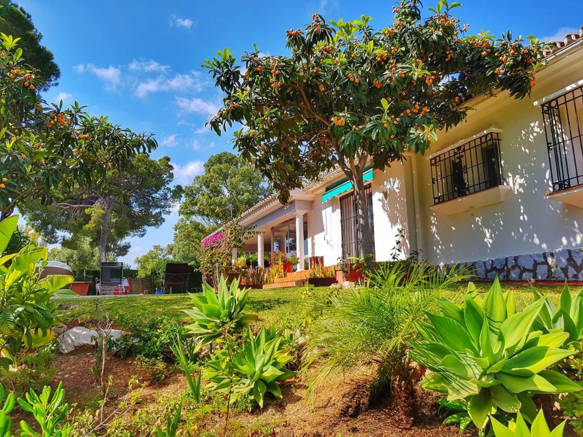 El Nacar Bed & Breakfast Μαρμπέλλα Εξωτερικό φωτογραφία