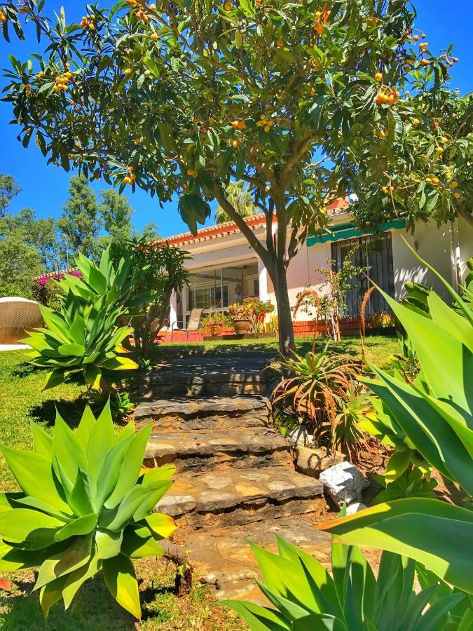 El Nacar Bed & Breakfast Μαρμπέλλα Εξωτερικό φωτογραφία