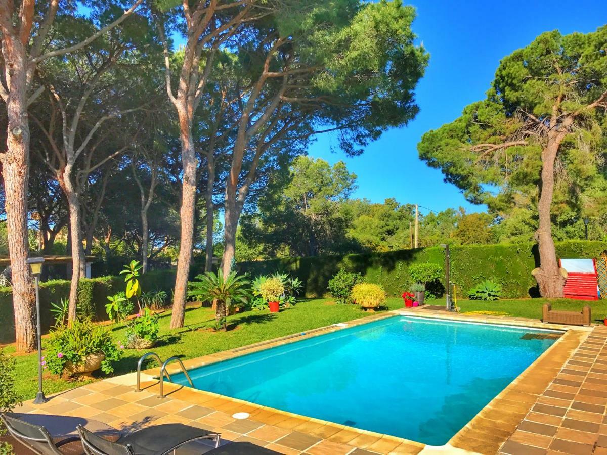 El Nacar Bed & Breakfast Μαρμπέλλα Εξωτερικό φωτογραφία