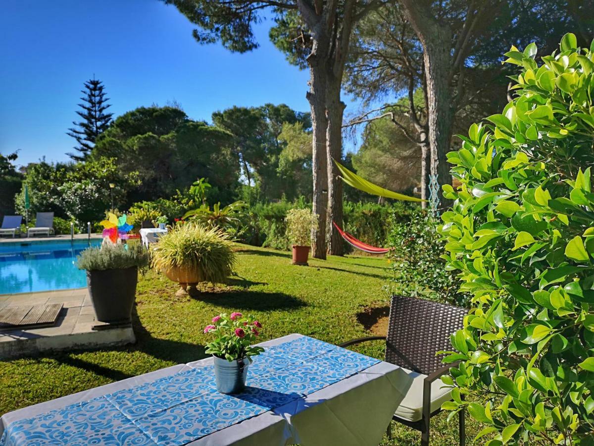 El Nacar Bed & Breakfast Μαρμπέλλα Εξωτερικό φωτογραφία